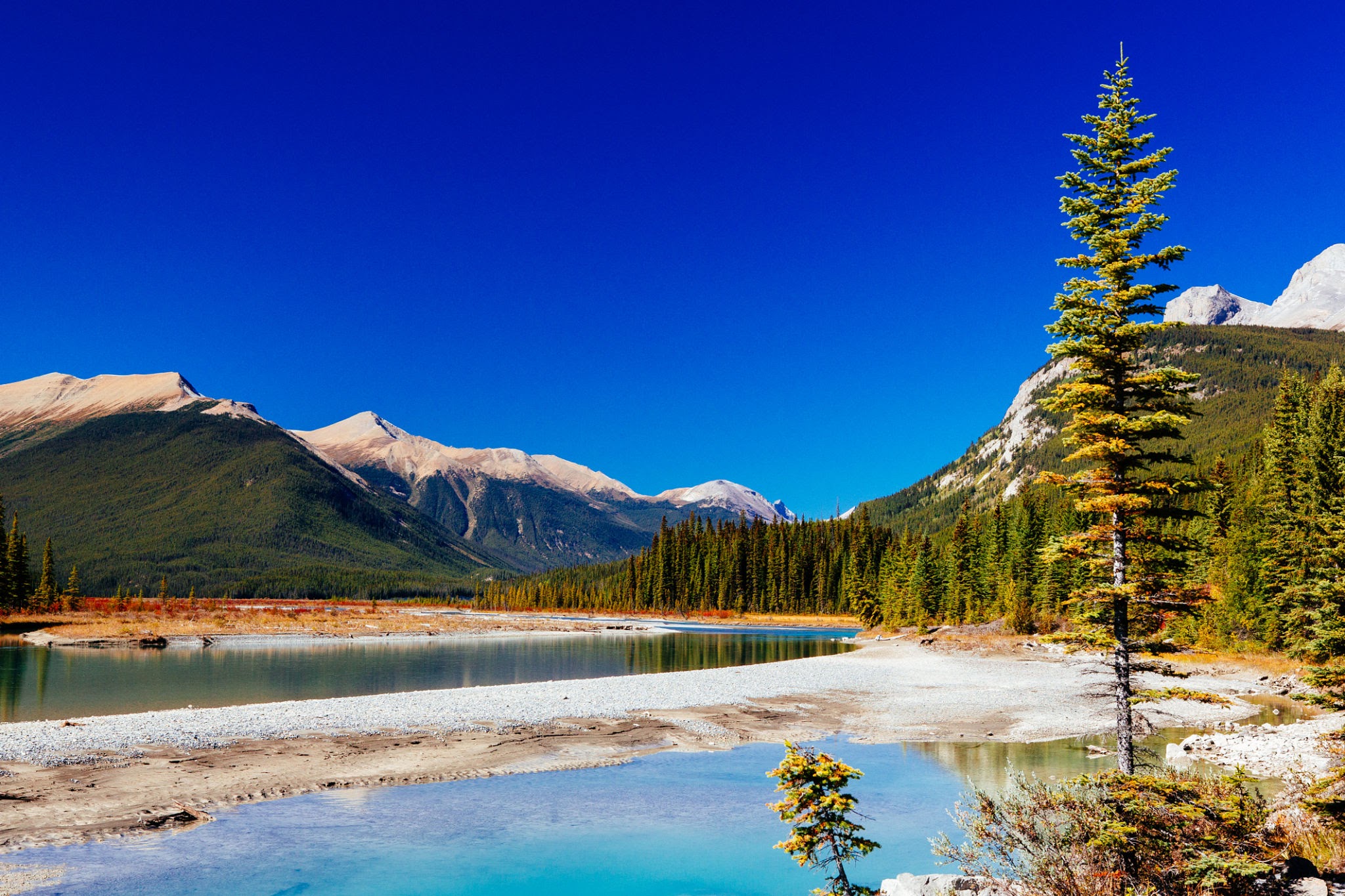 Foto del Parque Nacional Jasper