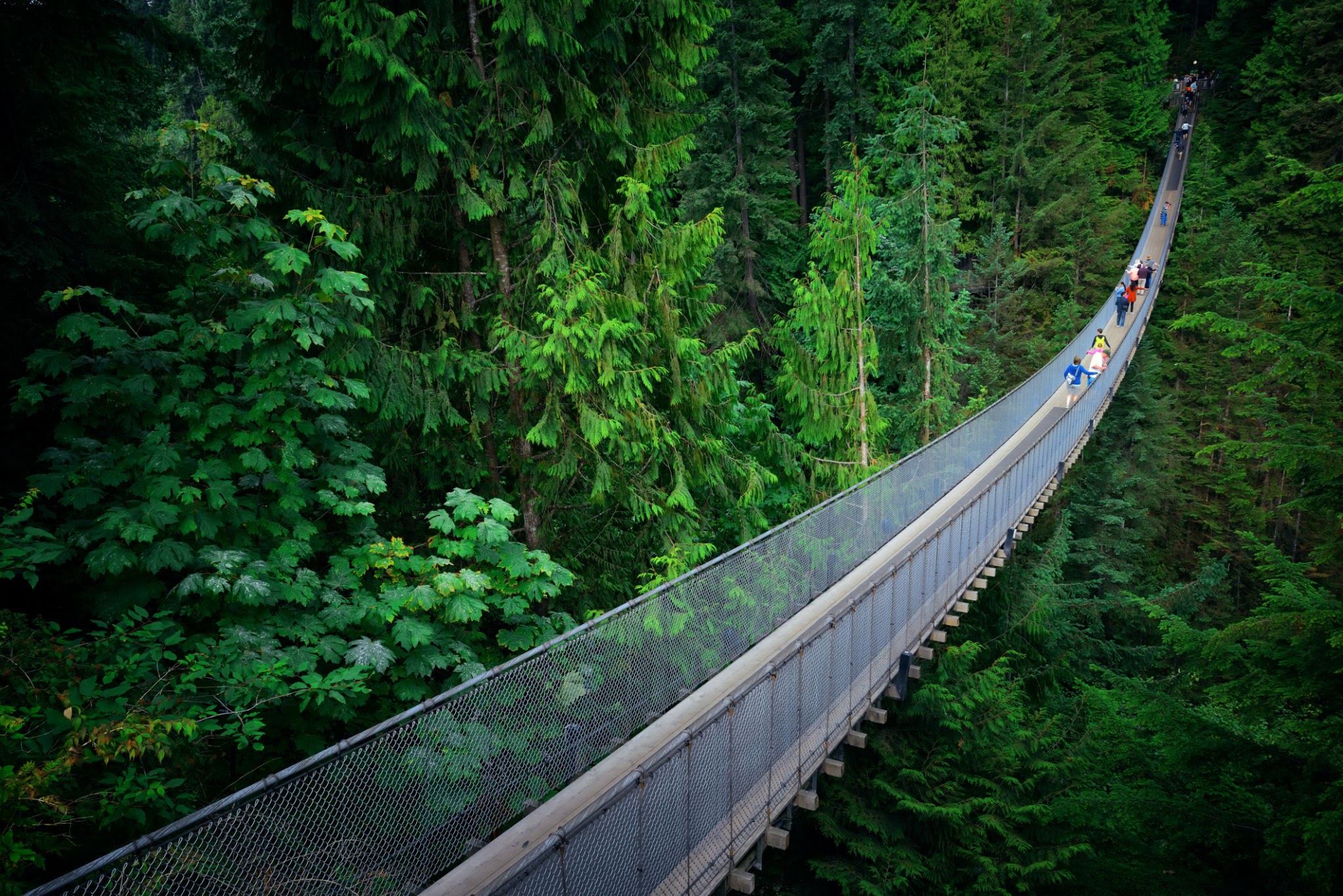 Foto del puente colgante Capilano en Vancouver, Canadá
